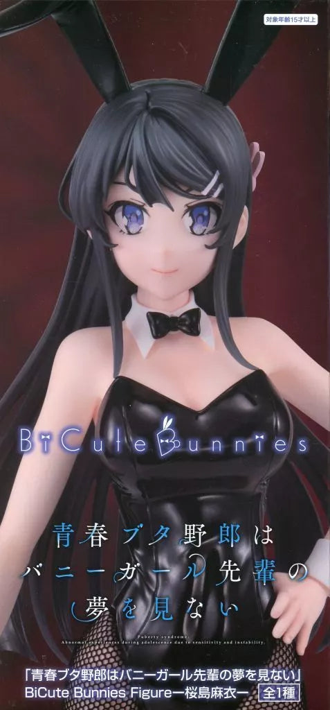 桜島麻衣 BiCute Bunnies 青春ﾌﾞﾀ野郎はﾊﾞﾆｰｶﾞｰﾙ先輩