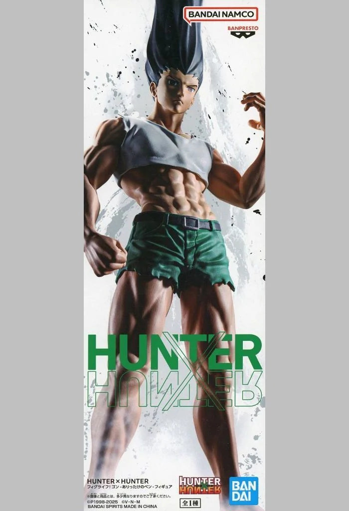 ｺﾞﾝ-ありったけのﾍﾟﾝ-ﾌｨｷﾞｭｱ ﾌｨｸﾞﾗｲﾌ! HUNTER×HUNTER